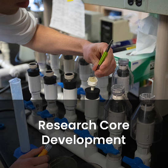 Research Core Development webpage